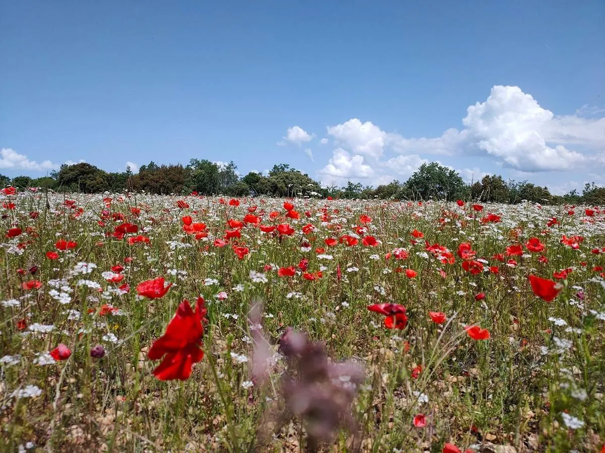 Appartamento La Perle De Gordes