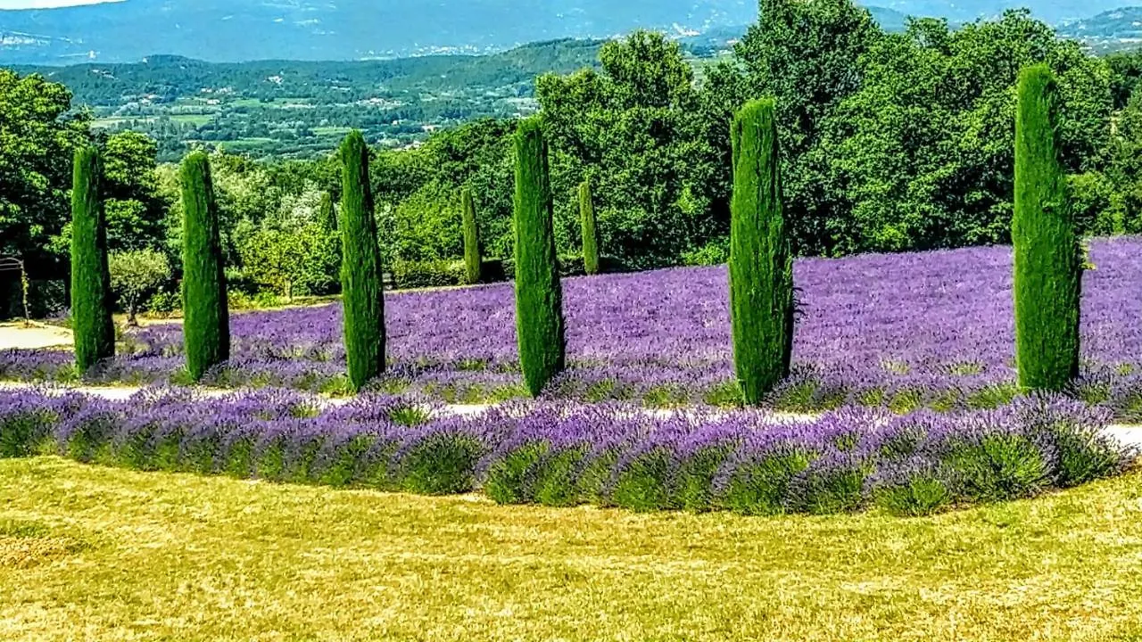 Appartamento La Perle De Gordes