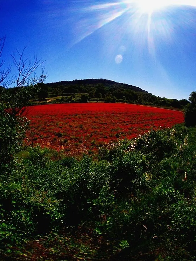 Appartamento La Perle De Gordes